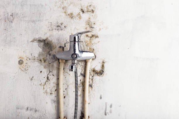 Best Mold Testing  in Crivitz, WI