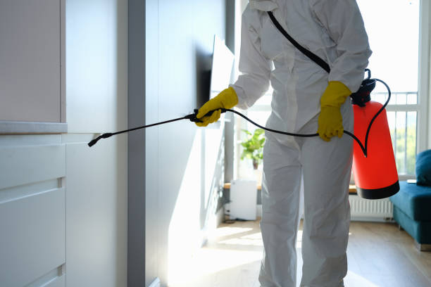 Best Office Mold Removal Services  in Crivitz, WI