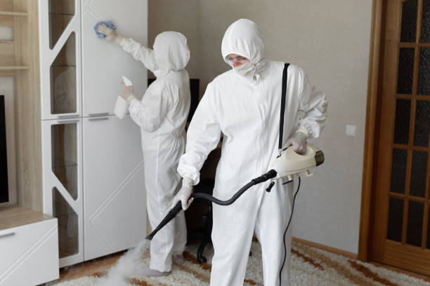 Best Mold Cleaning Services  in Crivitz, WI